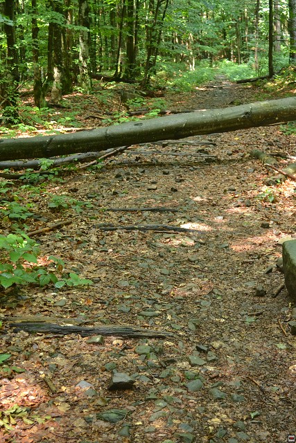 img00023.jpg