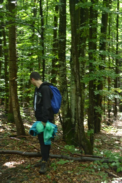 img00024.jpg
