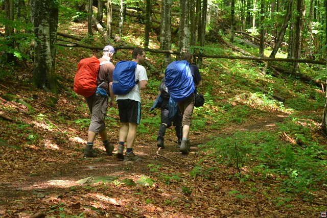 img00026.jpg