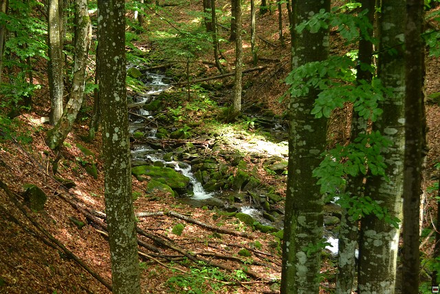img00027.jpg