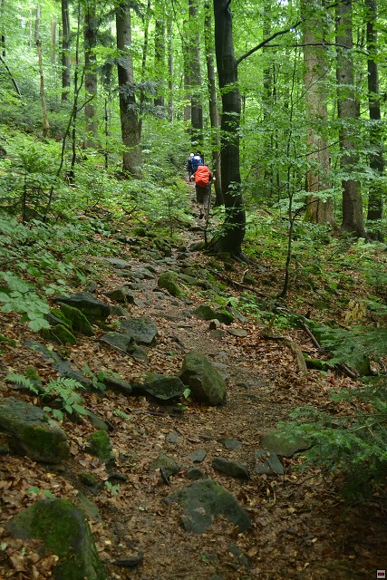 img00030.jpg