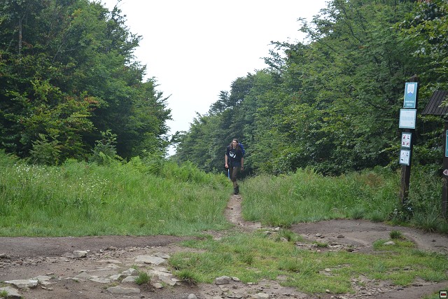 img00037.jpg