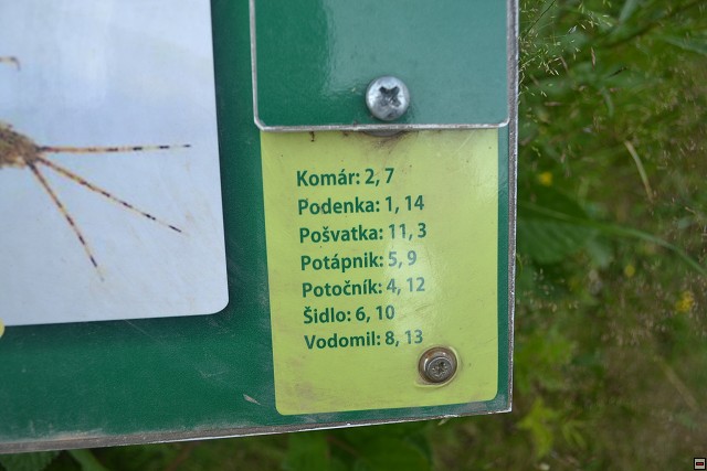 img00042.jpg