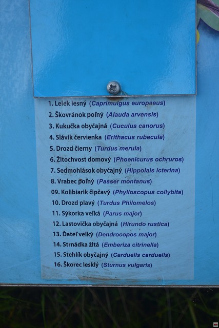 img00044.jpg