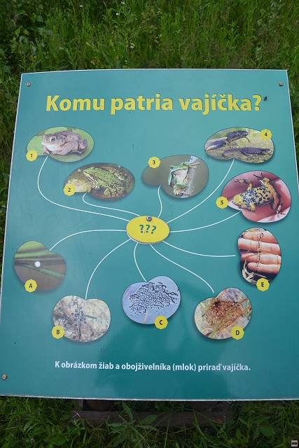 img00045.jpg