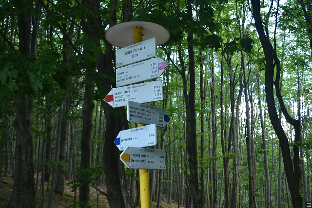 img00048.jpg