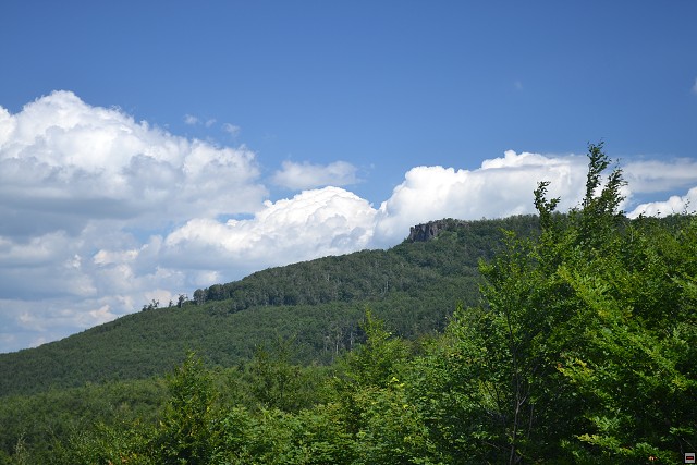 img00050.jpg