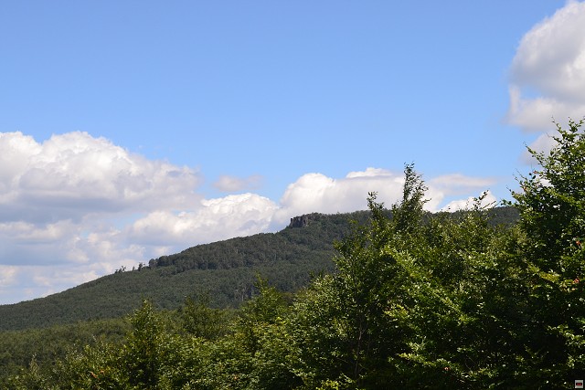 img00051.jpg