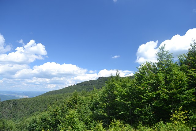 img00052.jpg