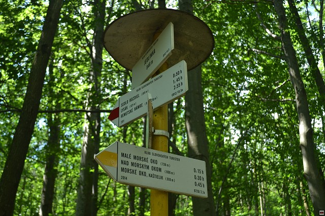img00057.jpg