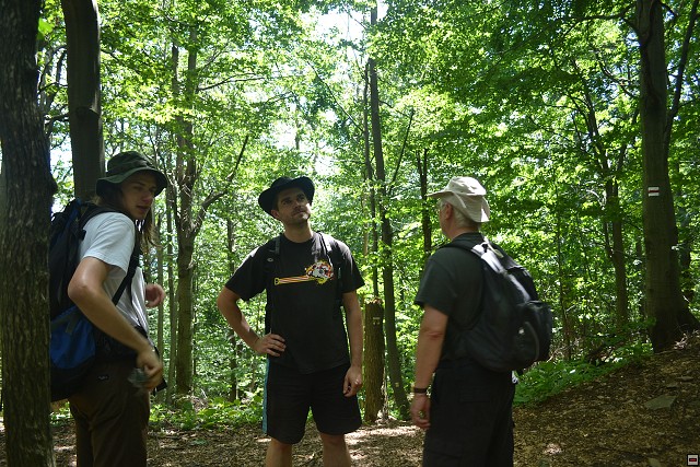 img00058.jpg