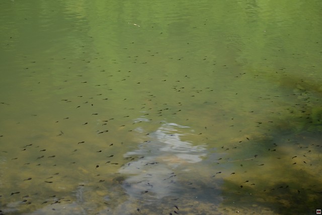 img00067.jpg