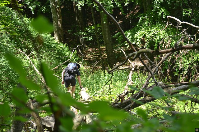 img00072.jpg