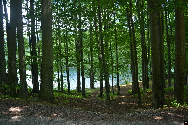 img00074.jpg