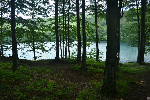 img00075.jpg