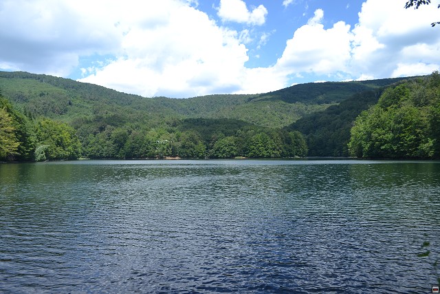 img00077.jpg