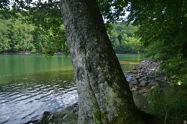 img00078.jpg