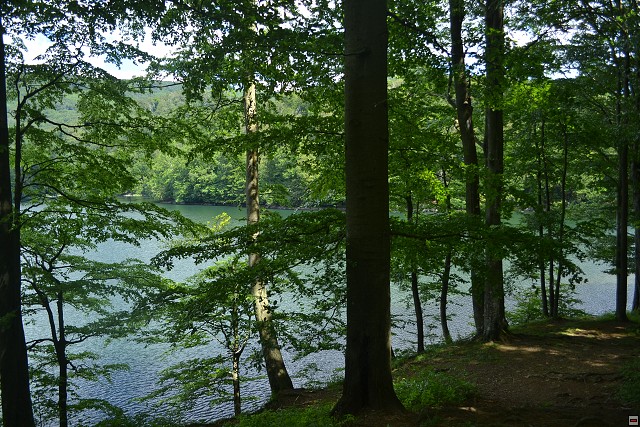 img00079.jpg