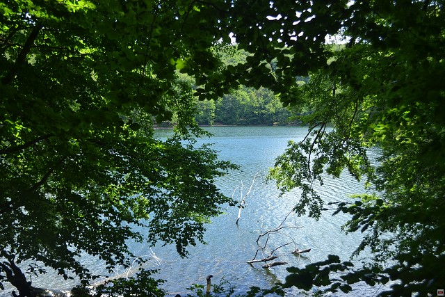 img00081.jpg