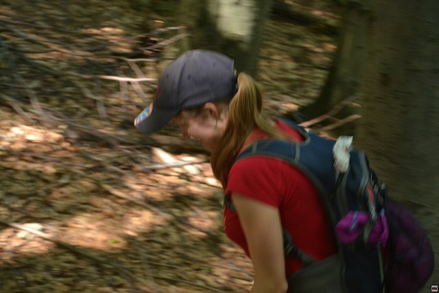 img00088.jpg