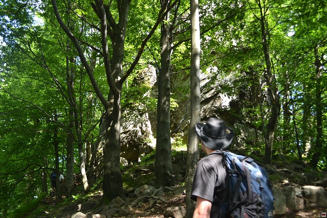 img00093.jpg