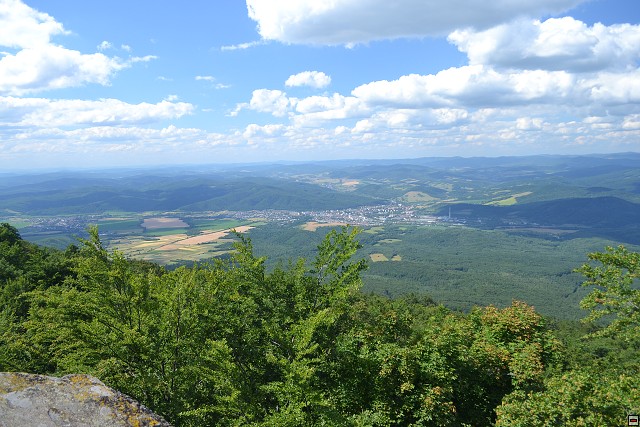 img00105.jpg