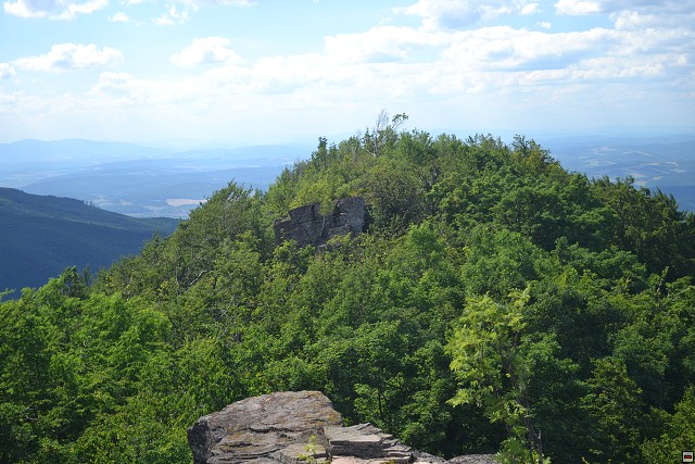 img00108.jpg