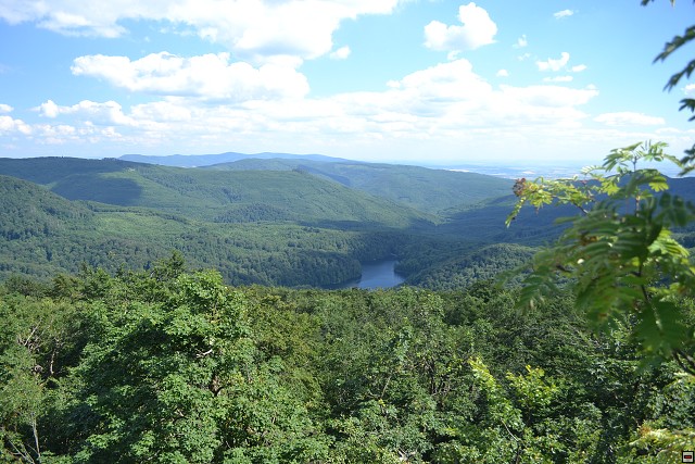 img00112.jpg