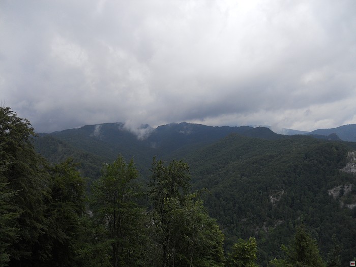 img00019.jpg