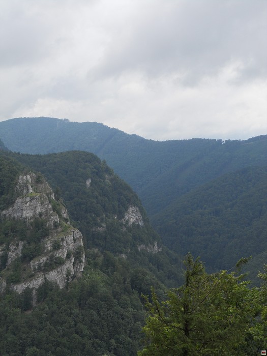 img00020.jpg