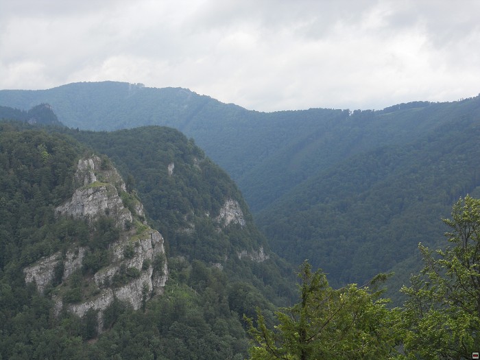 img00021.jpg