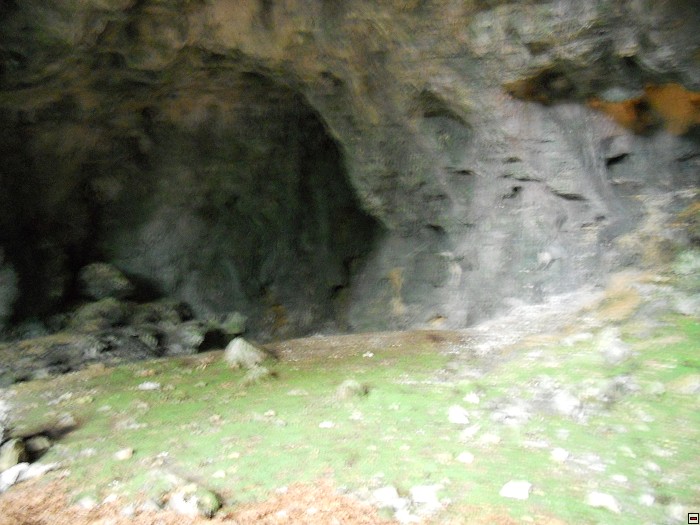 img00022.jpg