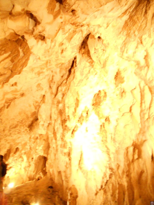 img00029.jpg