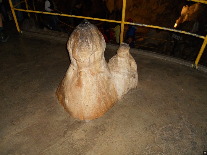 img00039.jpg