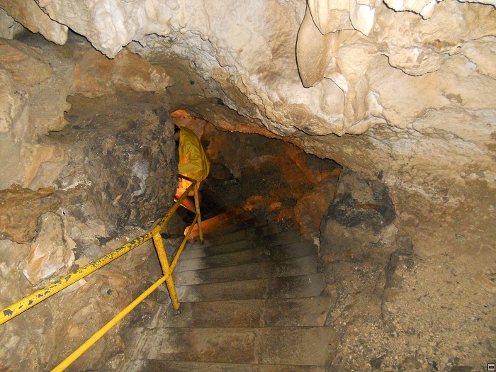 img00042.jpg