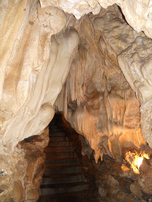 img00043.jpg