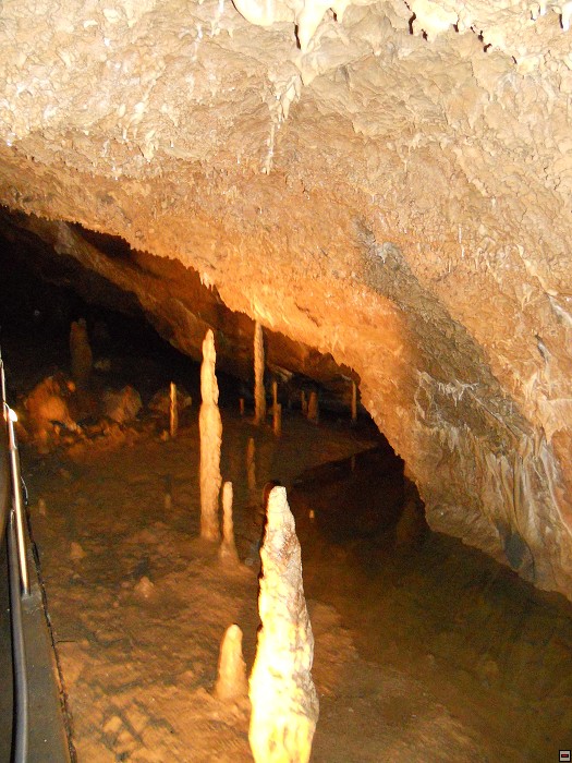img00045.jpg