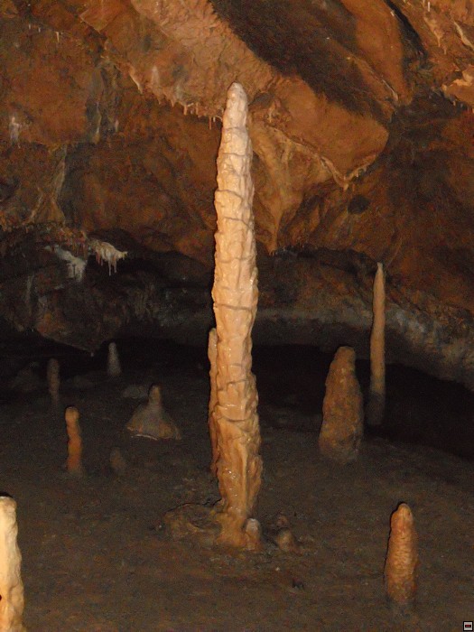 img00046.jpg