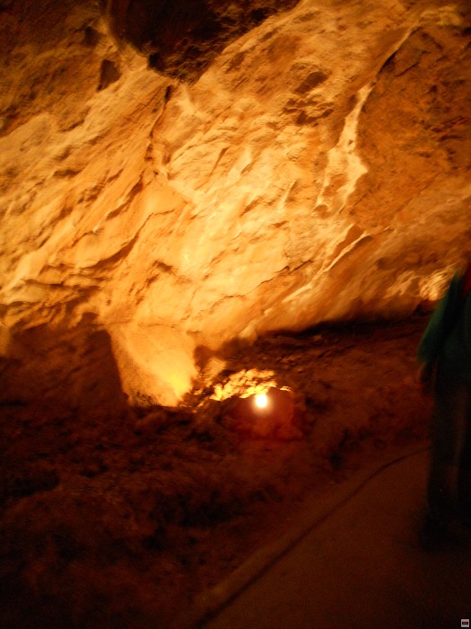 img00052.jpg
