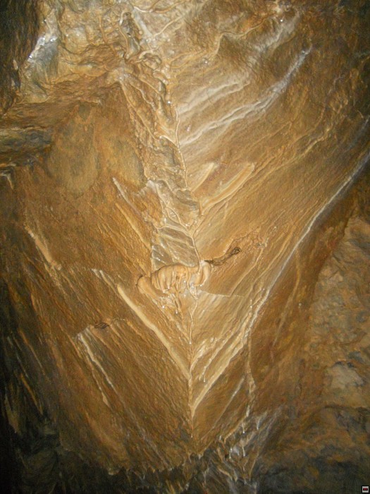 img00073.jpg