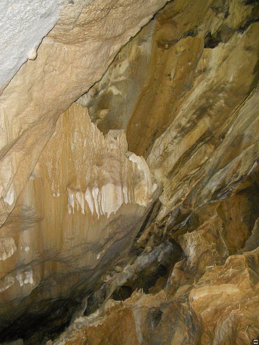 img00077.jpg