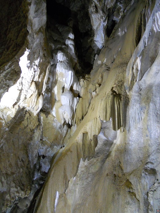 img00079.jpg