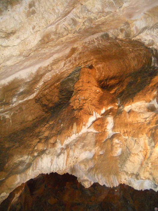 img00082.jpg