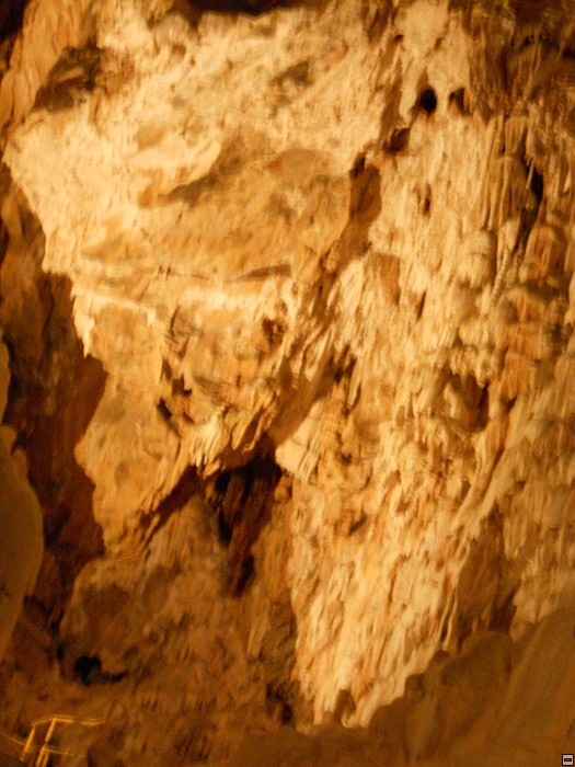 img00089.jpg