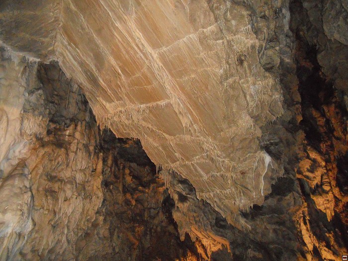 img00092.jpg
