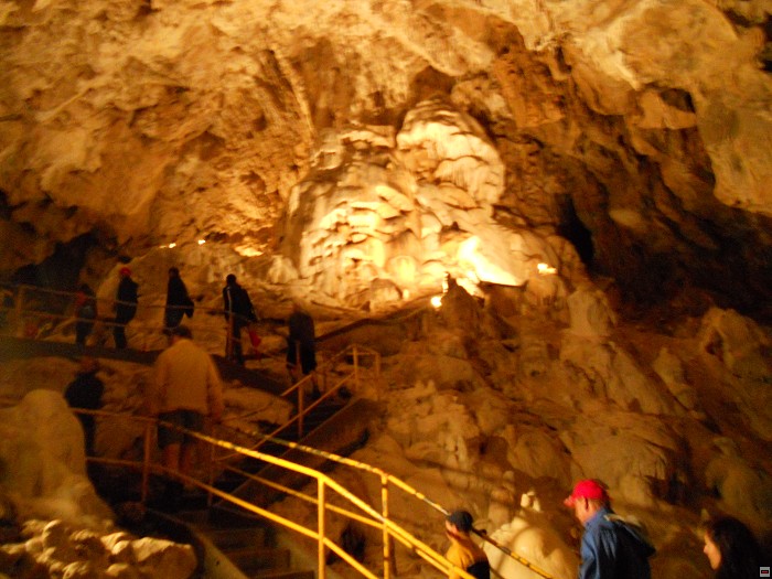 img00098.jpg