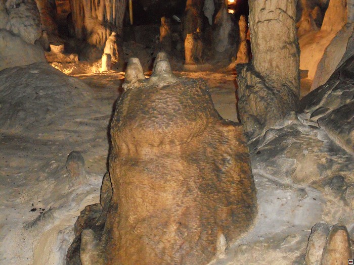 img00100.jpg
