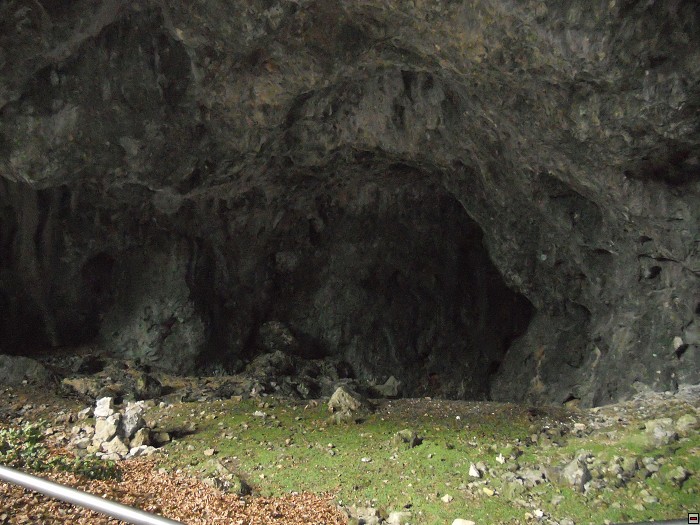 img00102.jpg
