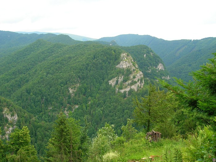 img00105.jpg