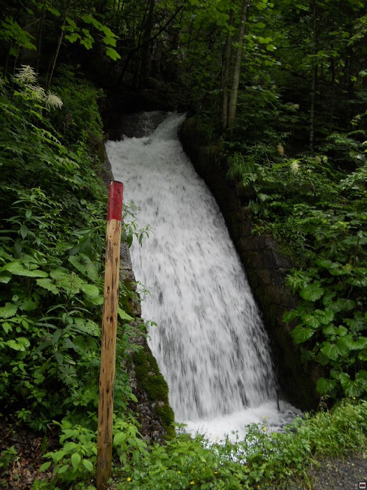 img00111.jpg